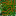 Texture for jungle