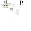 Texture for Moth_Wingsback_Template
