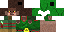 Texture for Silva Sheet