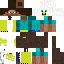 Texture for Soar 