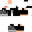 Texture for logan swag