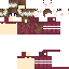 Texture for meowzer 01