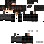Texture for LightGamer
