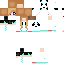 Texture for steve