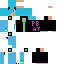 Texture for ENDERMIN  CAT