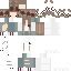 Texture for snow