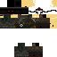 Texture for PhantomX