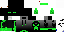 Texture for Ender