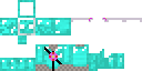 Texture for ToiletCraftDimArmor