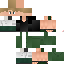 Texture for ds