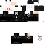 Texture for Lincon Type Zero