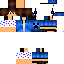 Texture for WLPGAMER