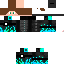 Texture for awsda