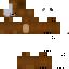 Texture for bear bot