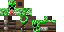 Texture for Random