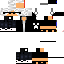 Texture for Trax