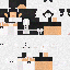 Texture for maid