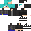 Texture for ninja
