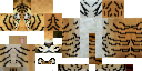 Texture for tiger