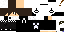 Texture for creeperman