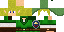 Texture for Link