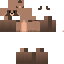 Texture for たぬき