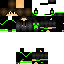 Texture for TIGR