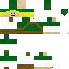 Texture for Link