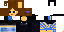 Texture for timidemi