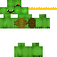 Texture for King Turtle