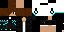 Texture for constant