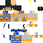 Texture for xin zhao