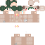 Texture for AlfTheDuck