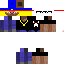 Texture for steve rico