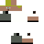 Texture for Sybin from jumanji