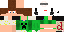 Texture for Steve