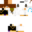 Texture for legend