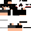Texture for SANN wthh