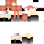 Texture for stu 2