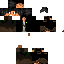 Texture for Logan