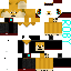 Texture for Steve