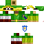 Texture for Evil Link