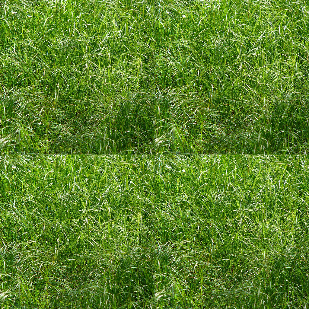 Texture for GARS von oben