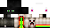 Texture for EnderNyash
