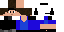 Texture for espião