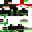 Texture for Zheta11 
