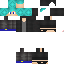 Texture for NINJA