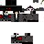 Texture for wither611