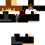 Texture for harry popotter
