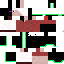 Texture for Ender_Mage